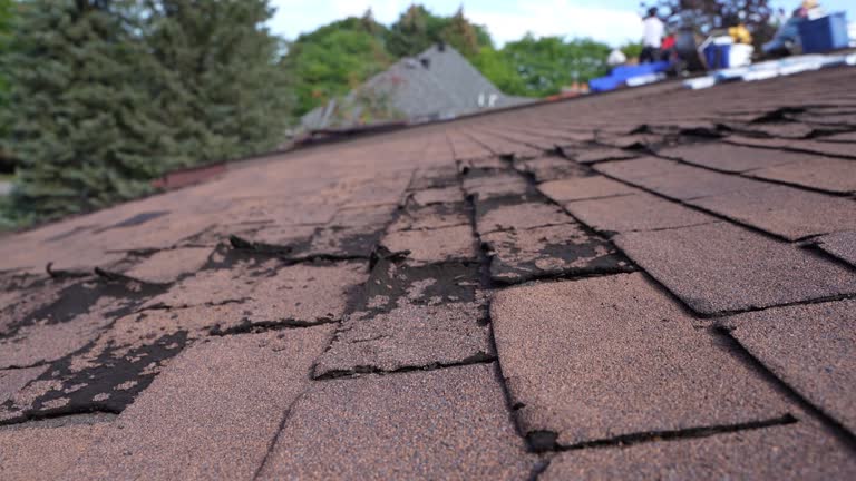 Best Asphalt Shingle Roofing  in East Aurora, NY
