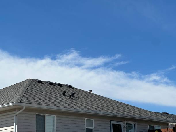 Skylights in East Aurora, NY